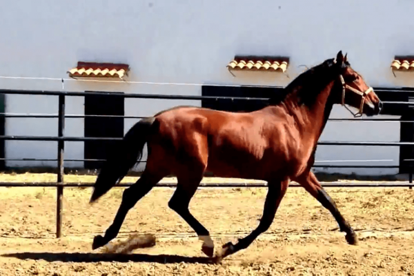 Ulises02feb15 (Medium)